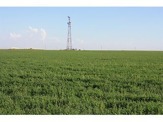 Property photo 52 - LAND AUCTION, 3255+/- Acres offered in 13 Tracts